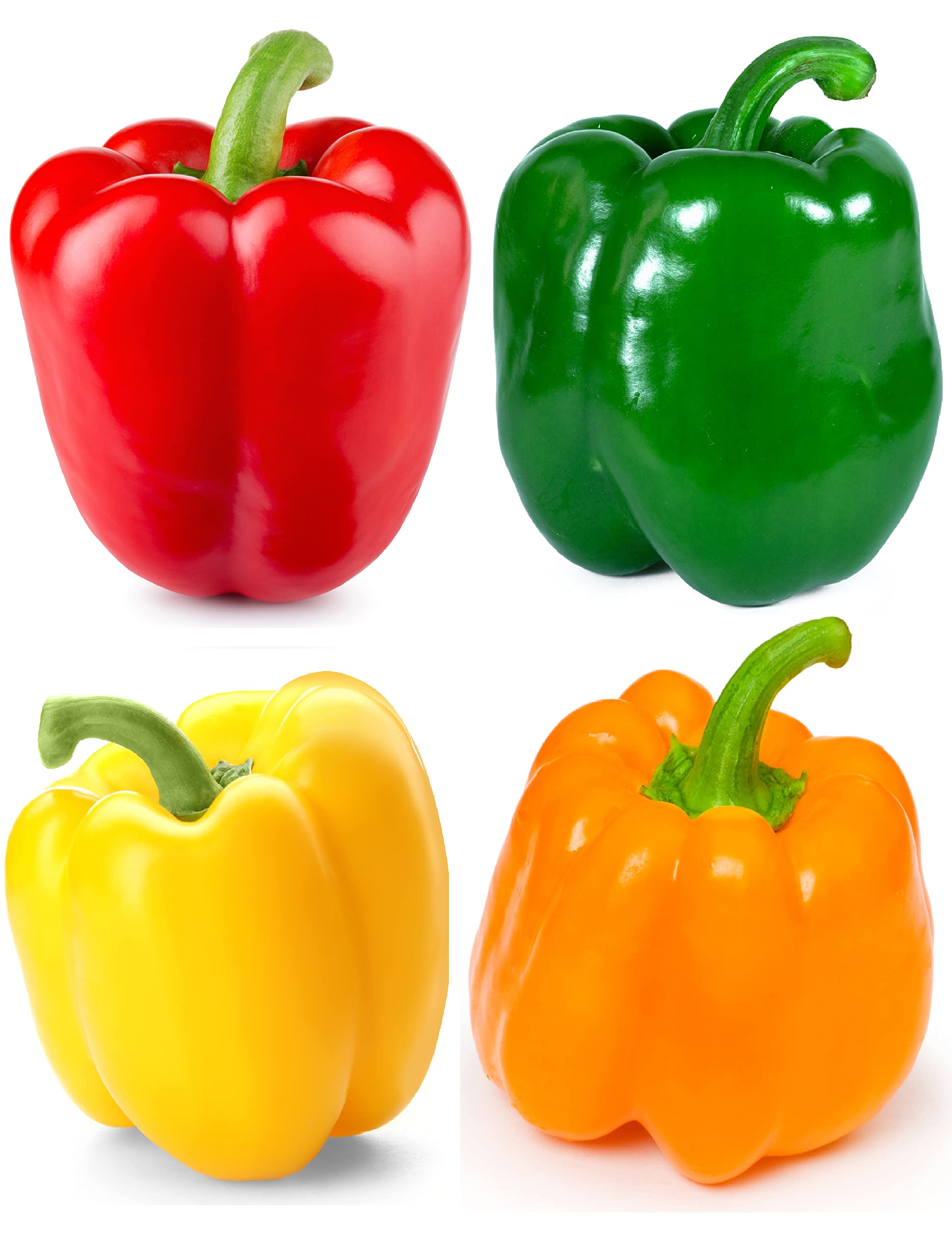 Sweet Bell Pepper Seeds Collection - 4 Colorful Varieties: Big Red, Giant Green, Orange Horizon & Yellow Sunbright - Non